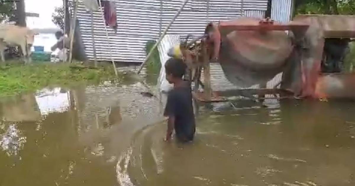 Flood-like situation continues to remain grim in Assam's Biswanth